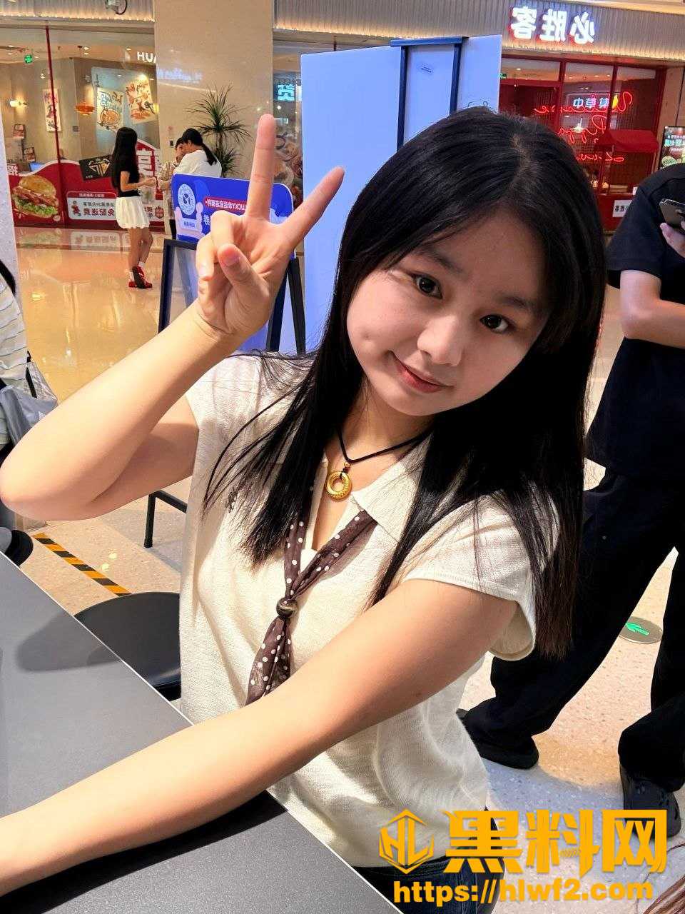 逍遥房东俏房客完整版