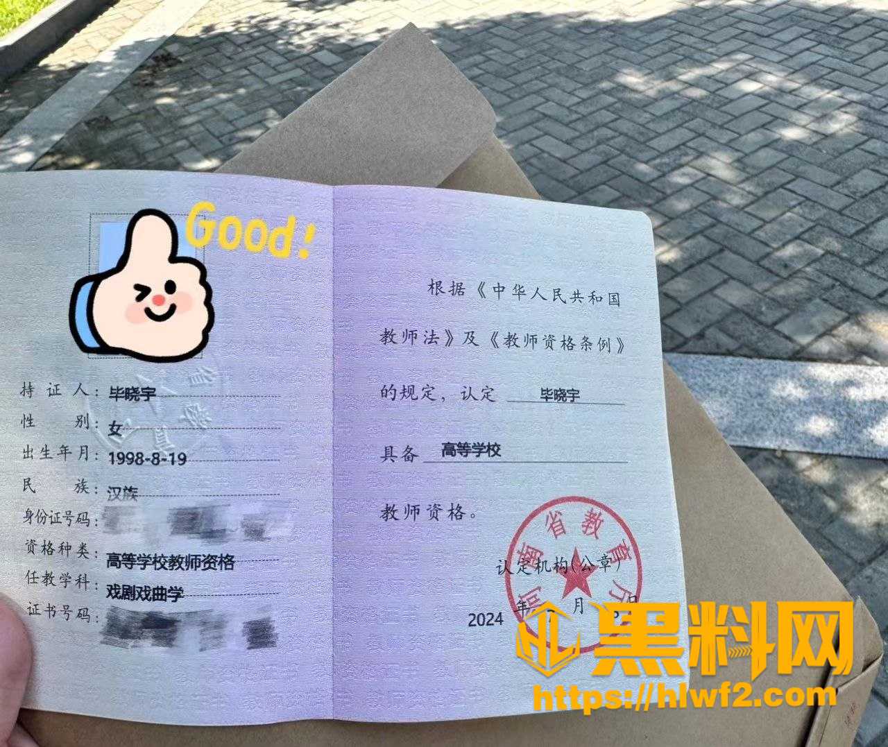毕晓宇视频资源