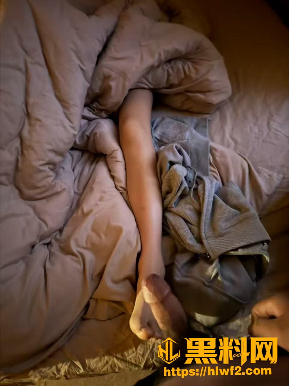 贪官群P小故事
