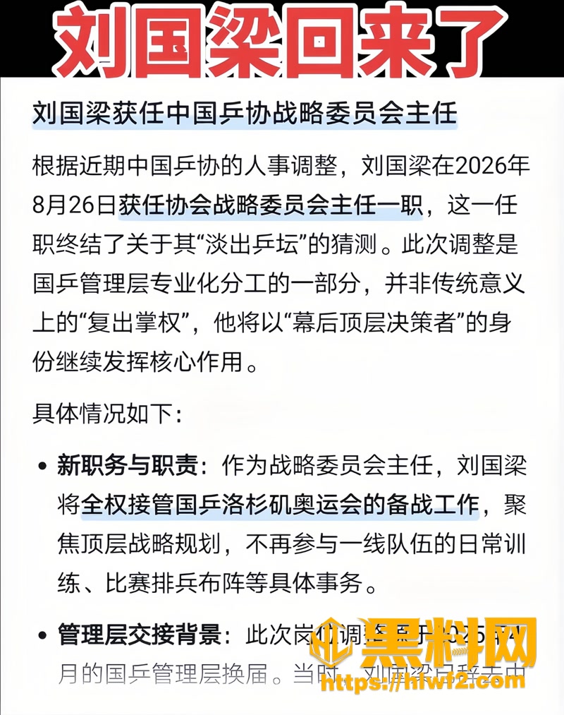 10国乒里应外合争议2 3wm