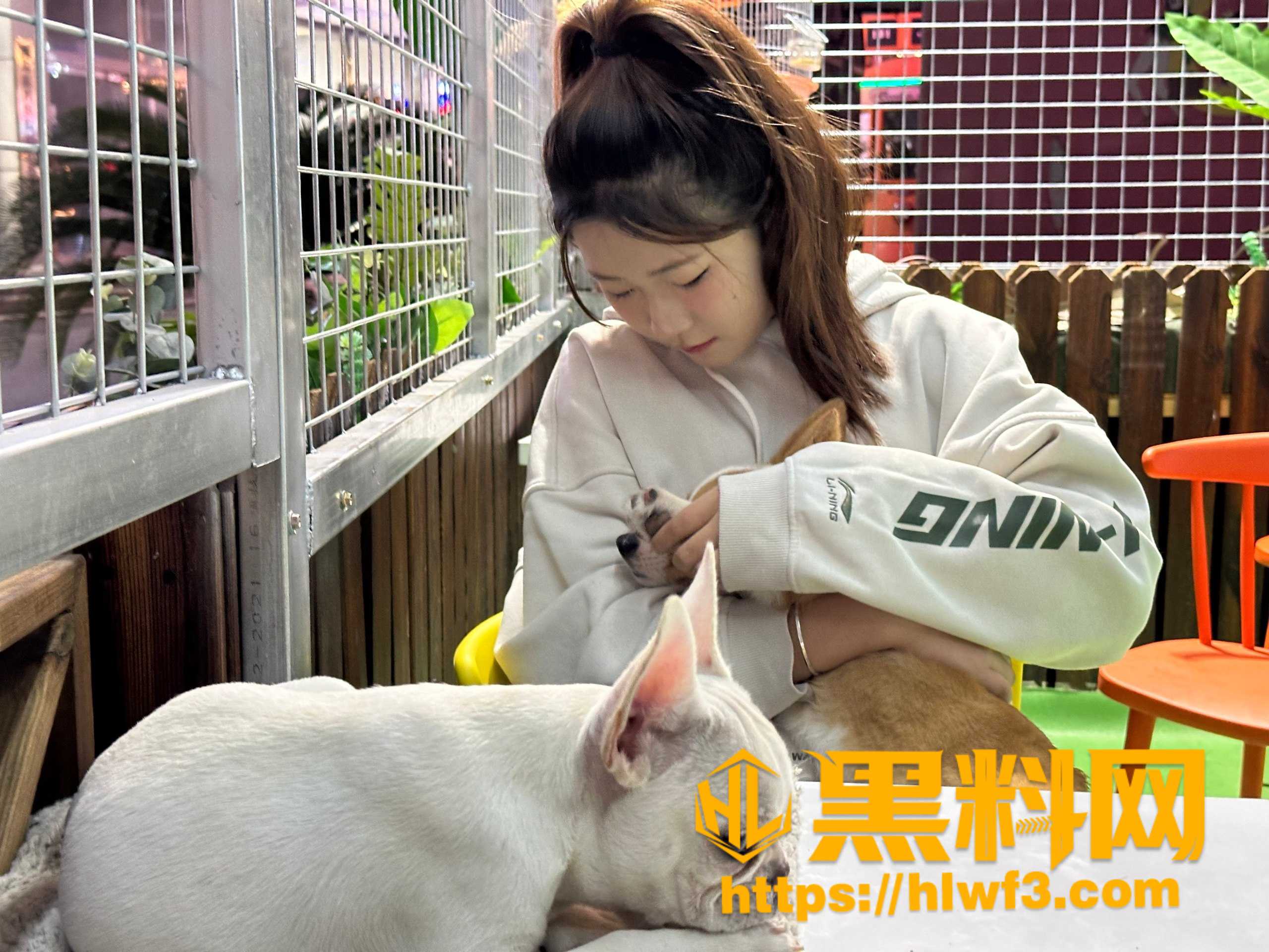 逍遥房东俏房客完整版