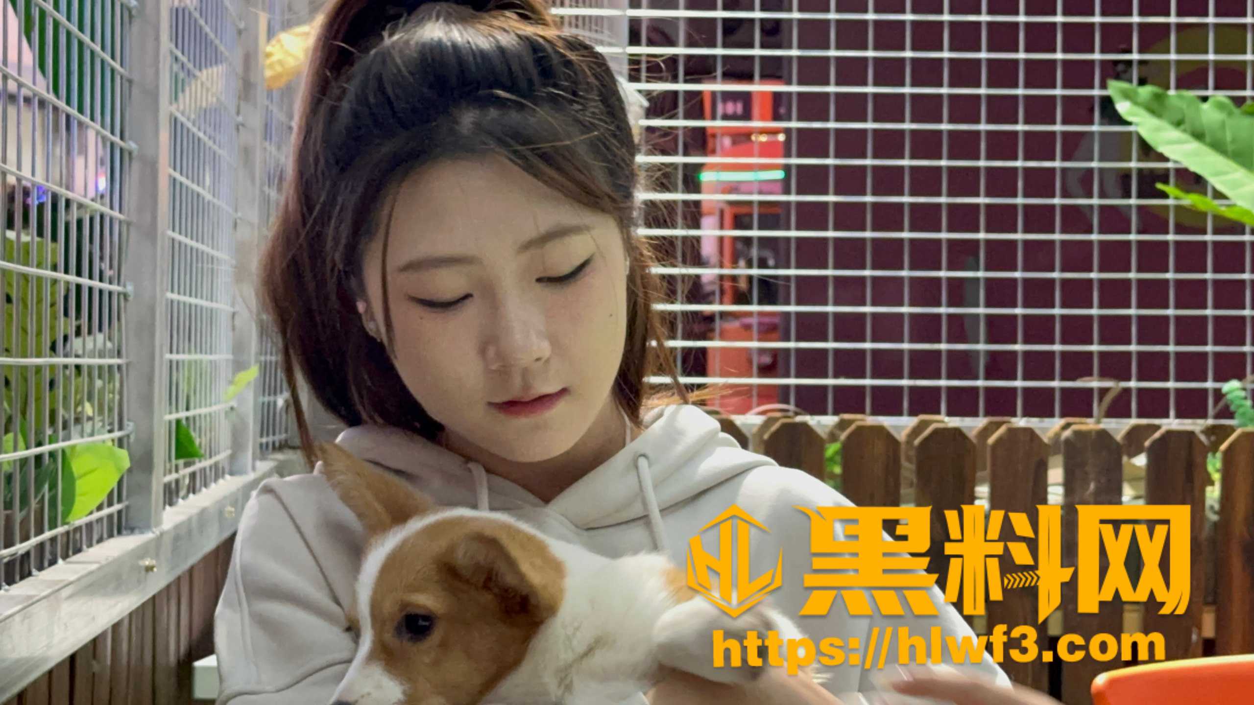 逍遥房东俏房客完整版