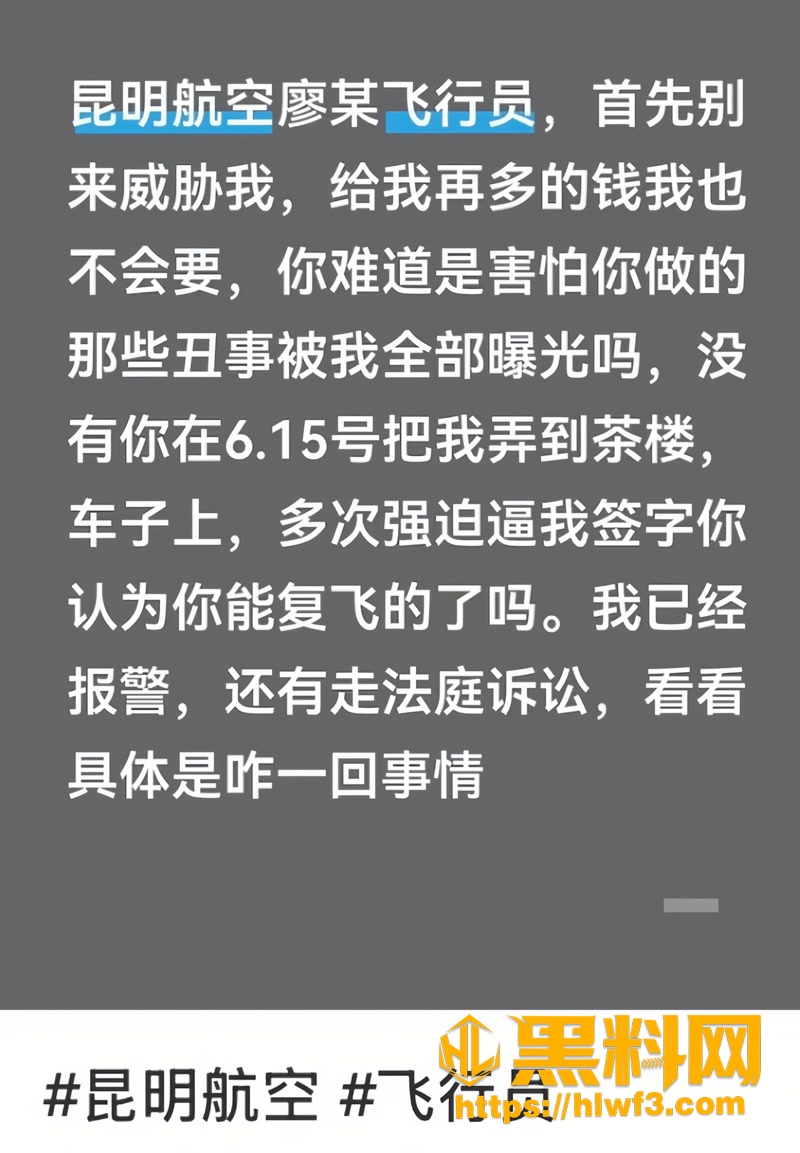 02航空飞行员1 2wm