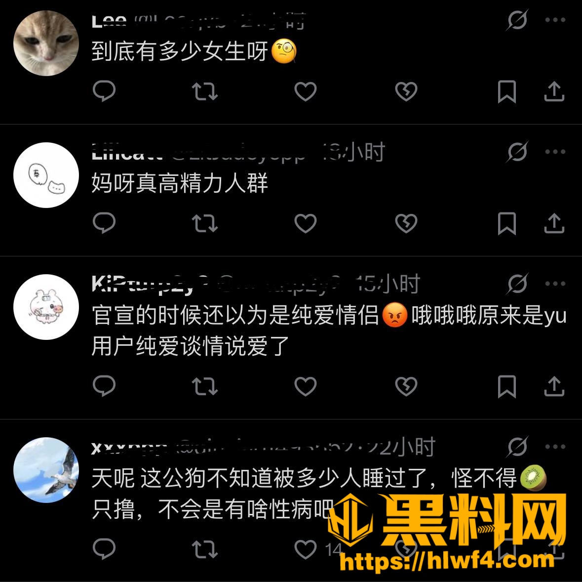 网红 5