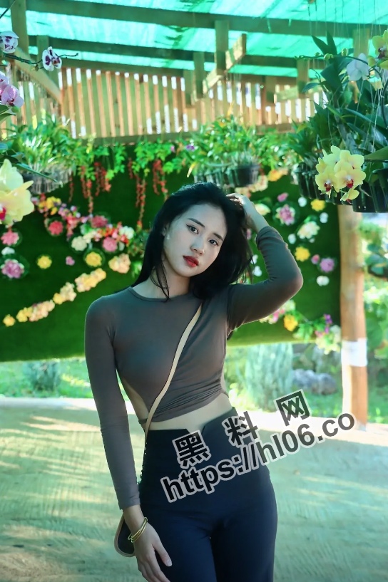 544X817