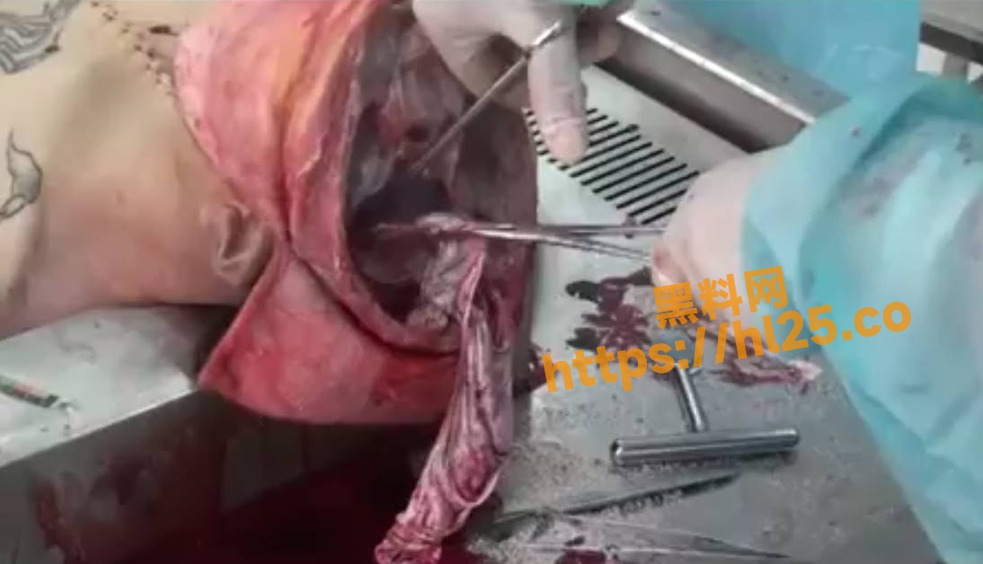 1094X628