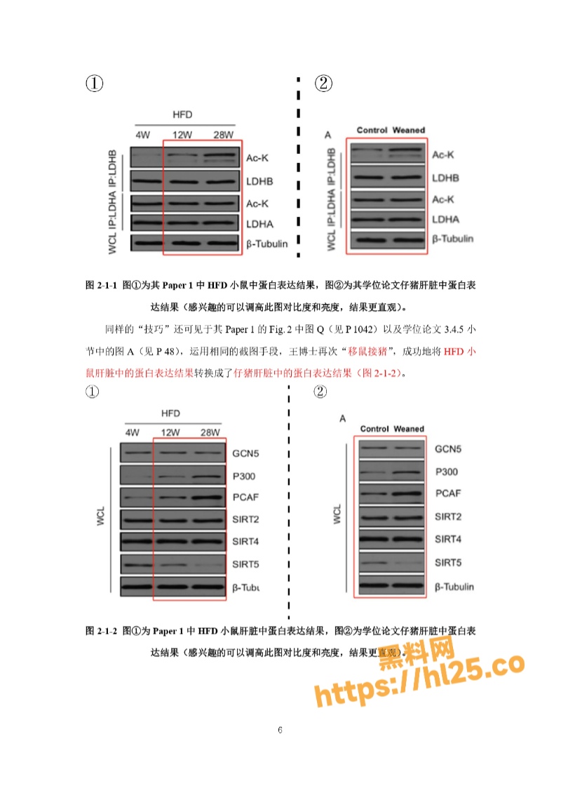 800X1130