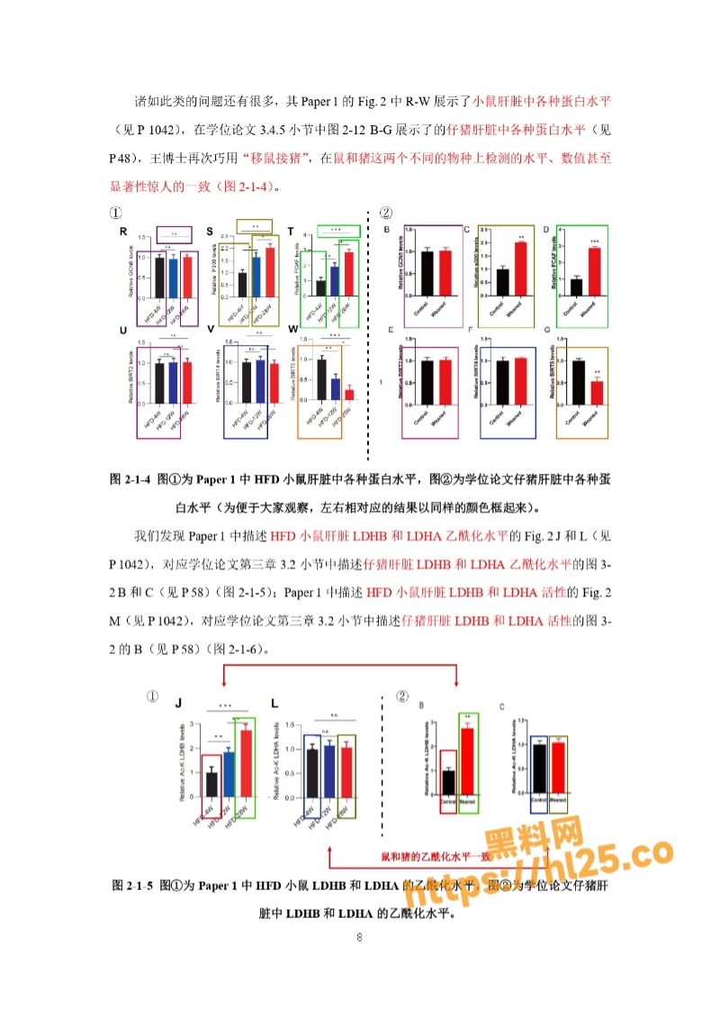 800X1130