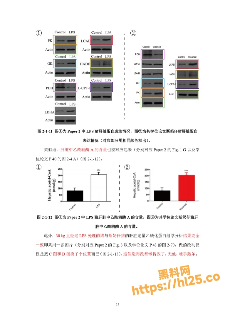 800X1130