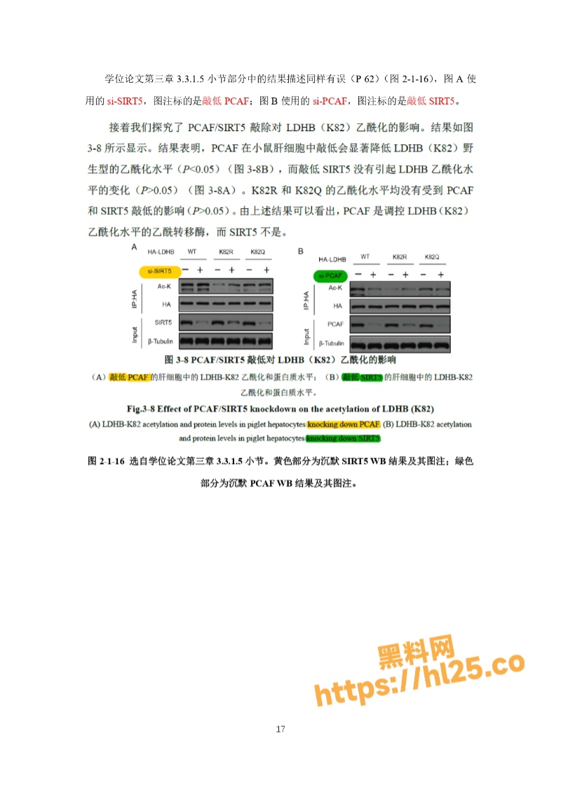 800X1130