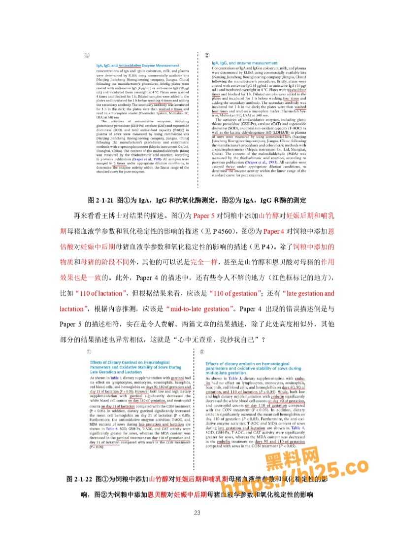 800X1130