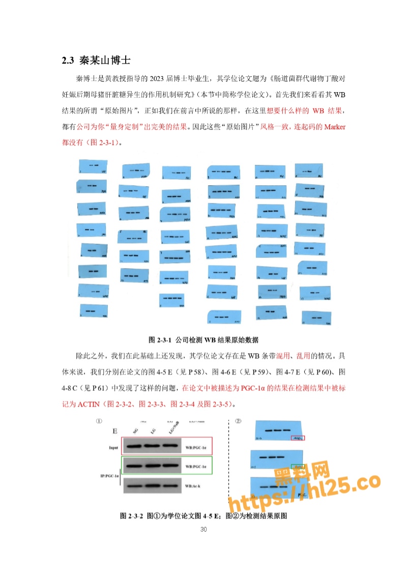 800X1130