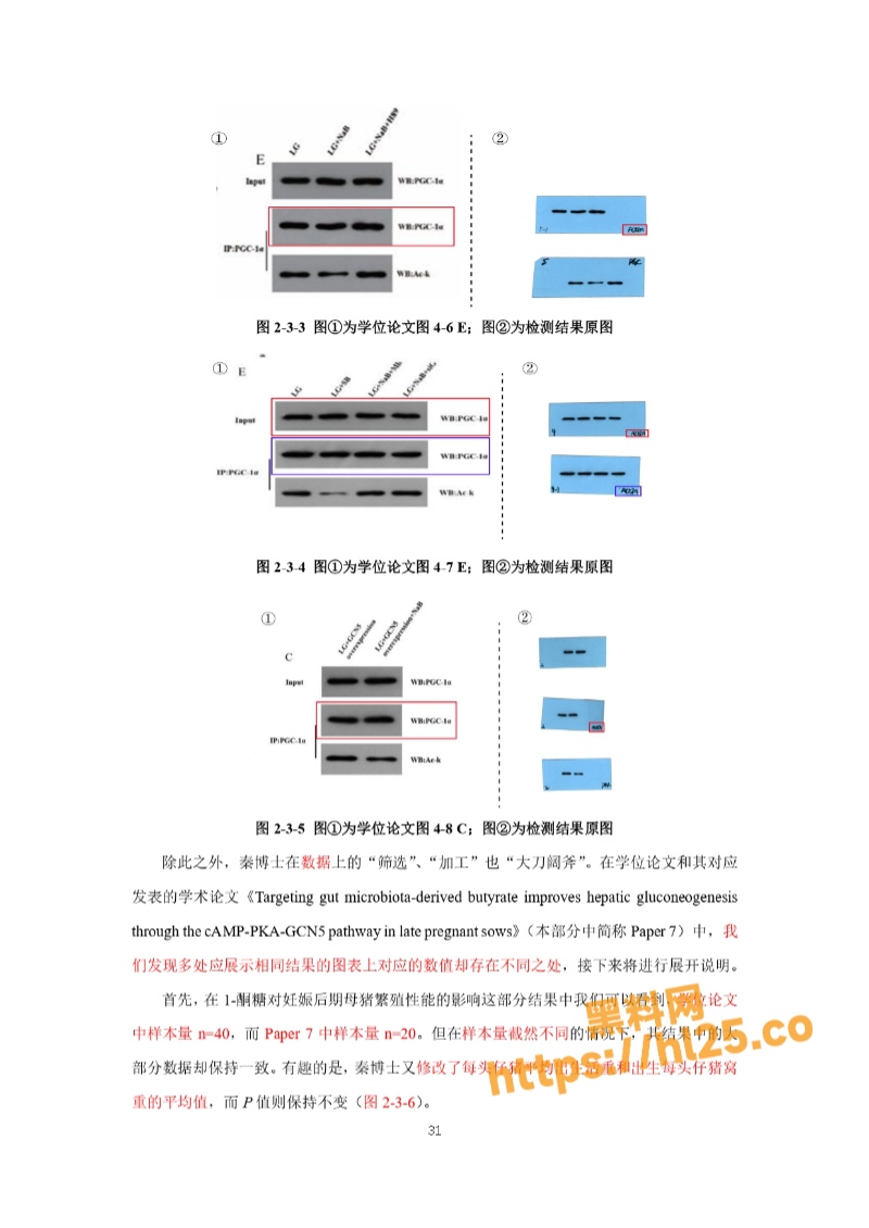 800X1130