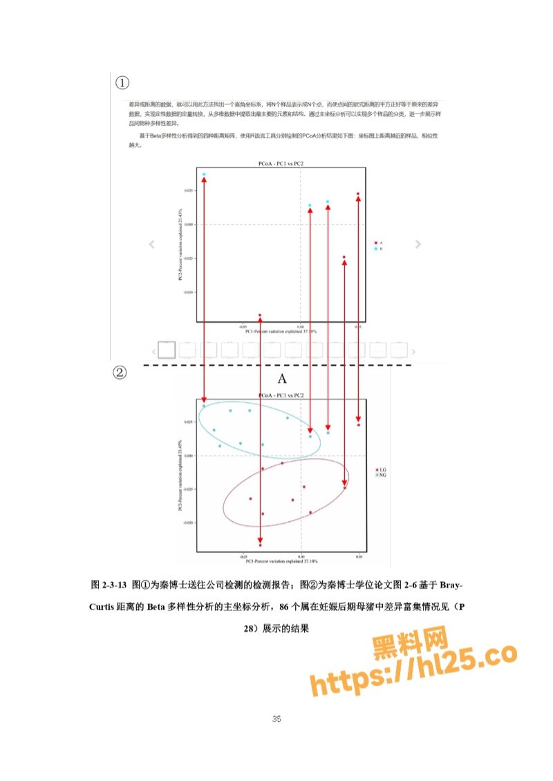 800X1130