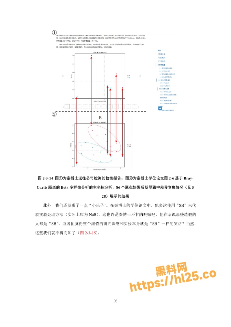 800X1130