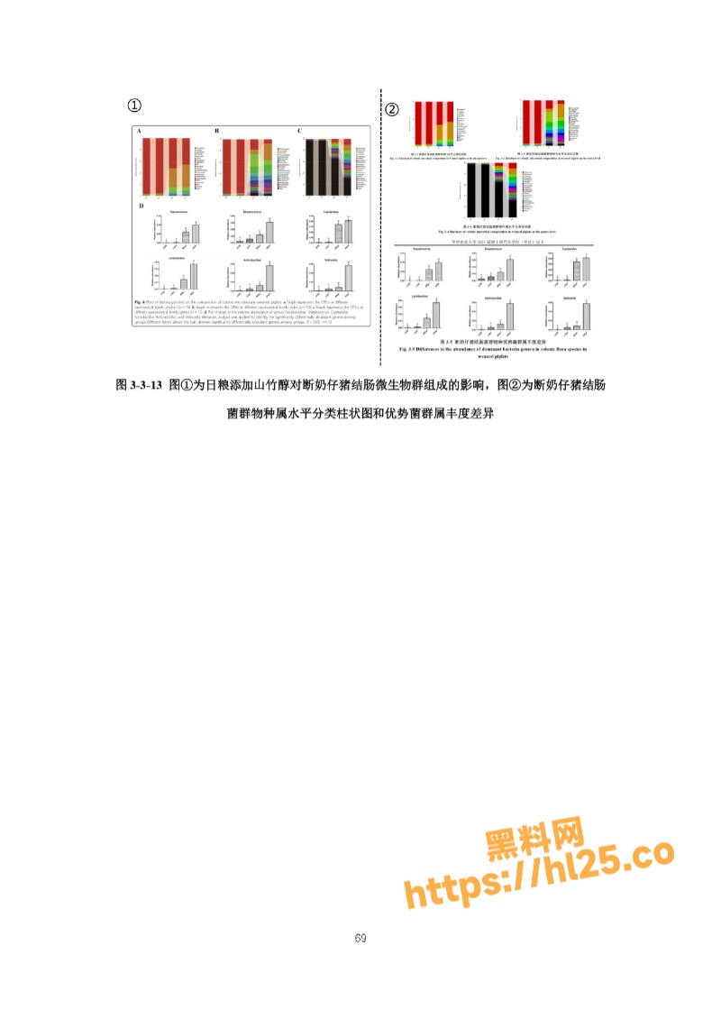 800X1130