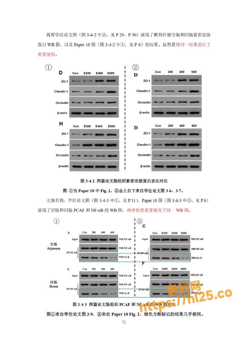 800X1130