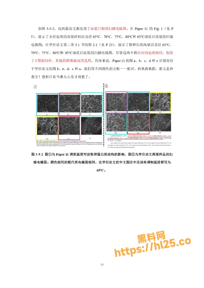 800X1130