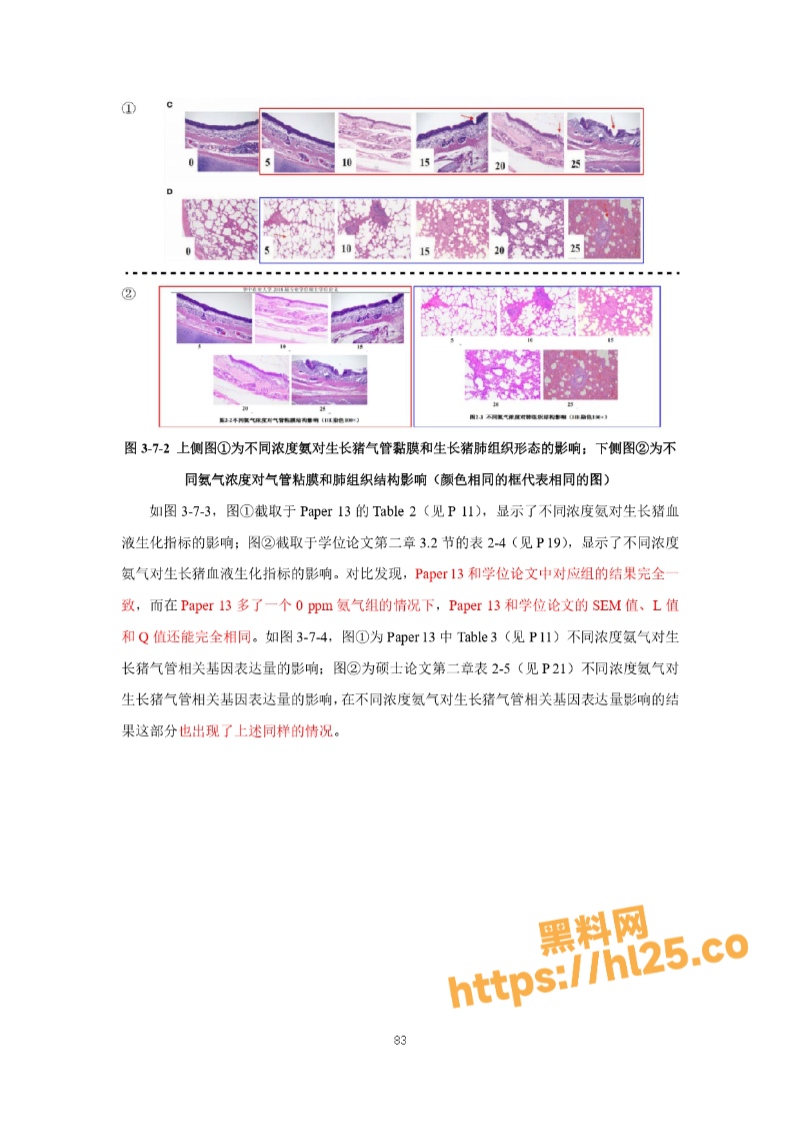 800X1130