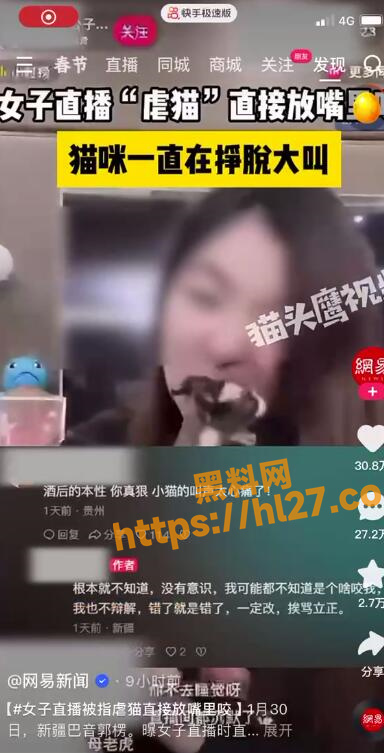 384X753