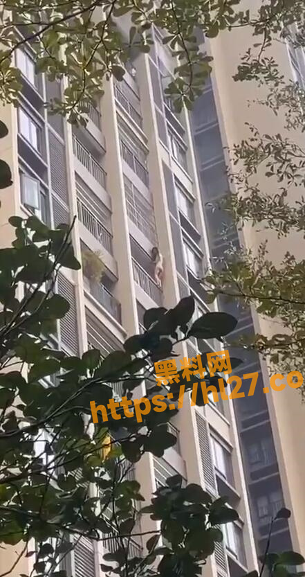 441X833