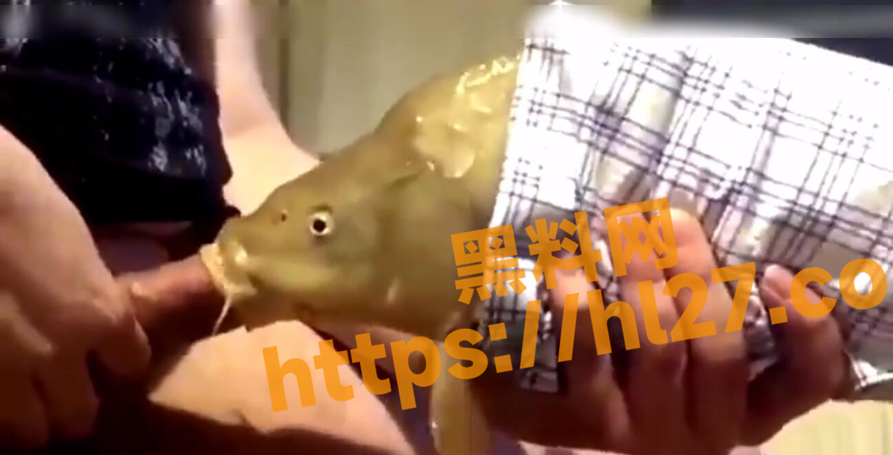 1295X661