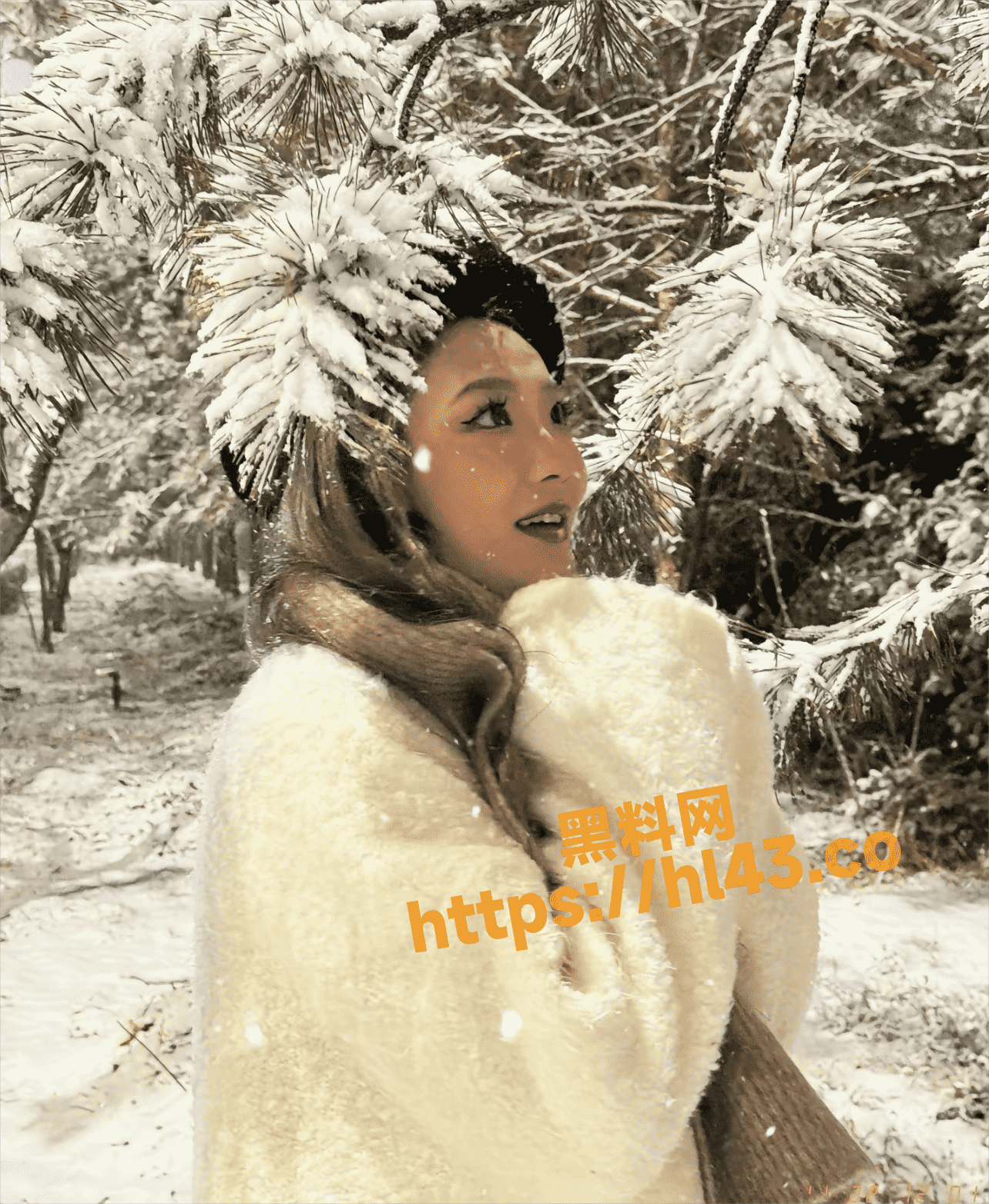1284X1564