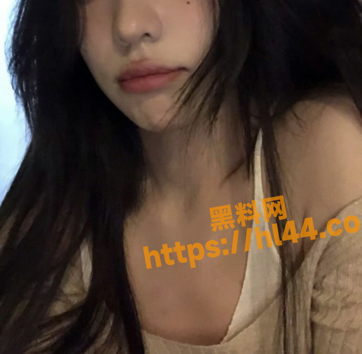 1242X1214