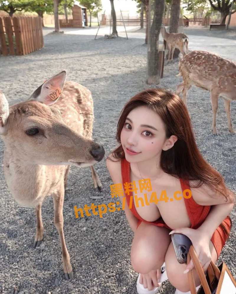 800X995