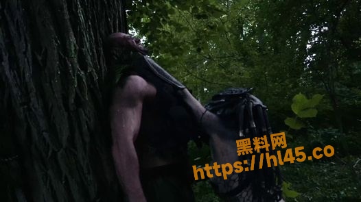 526X295