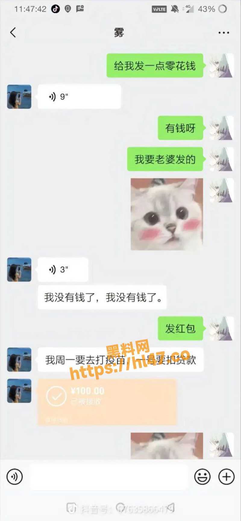 800X1732