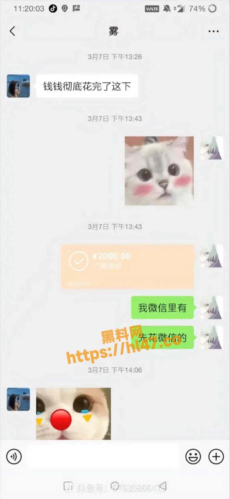 800X1732