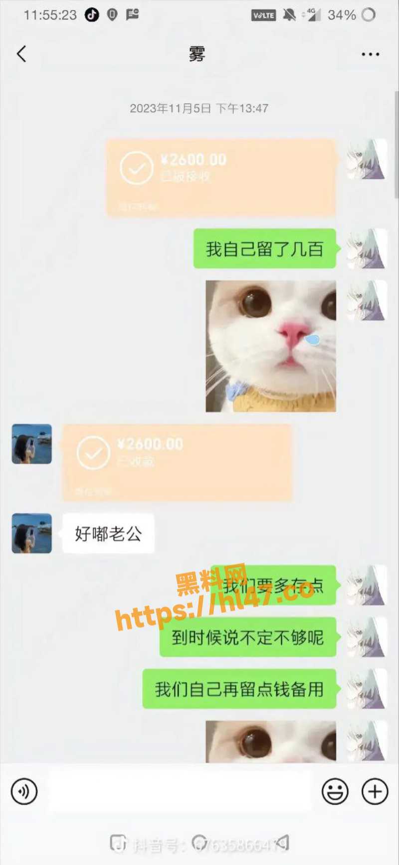 800X1732