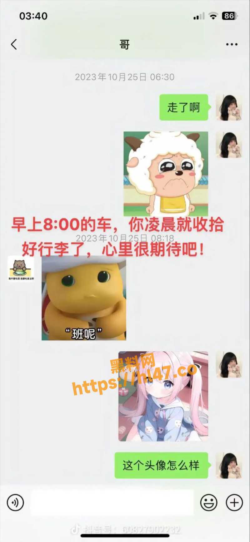 800X1729