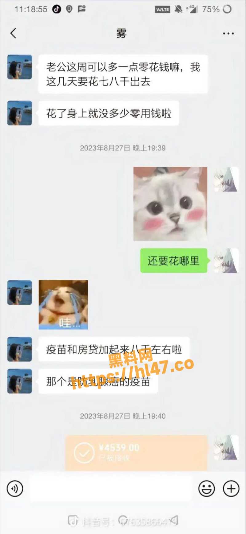 800X1732
