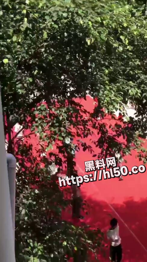488X871