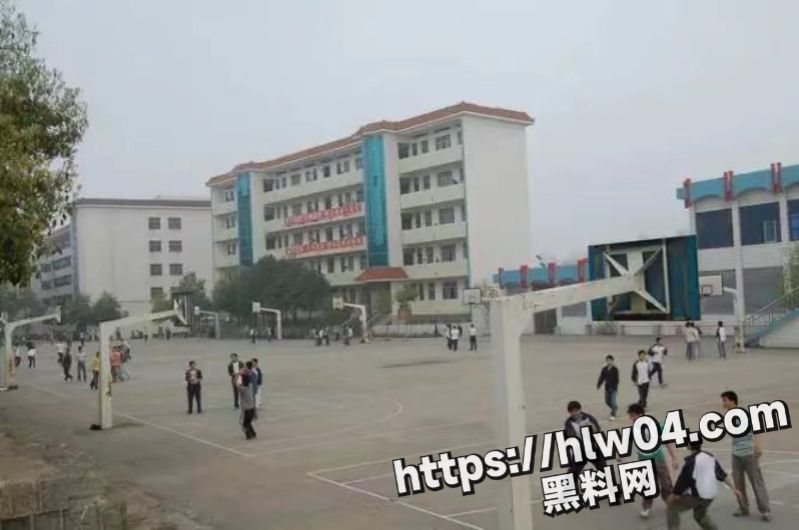 799X530