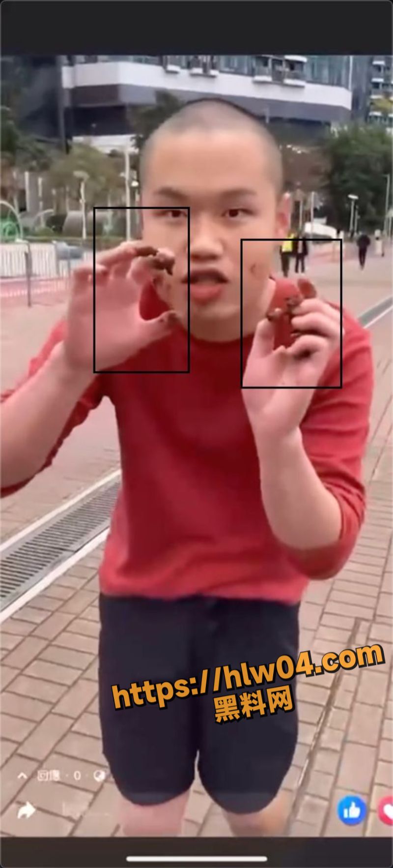 800X1765
