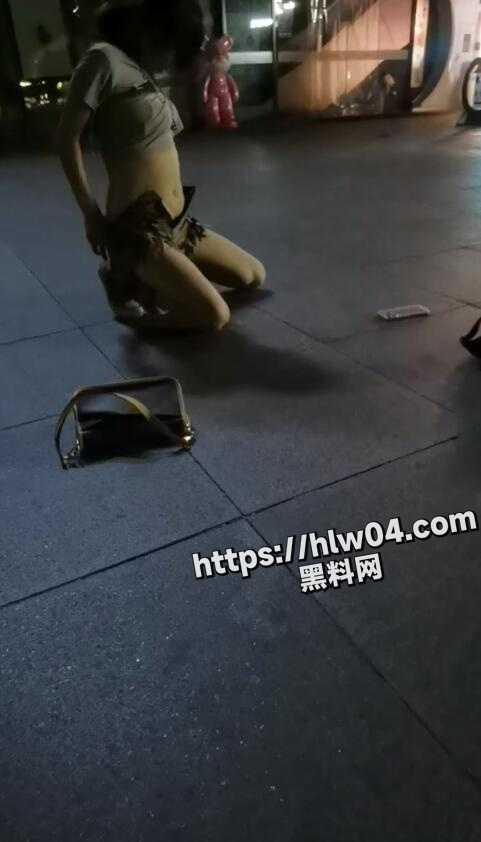 481X842