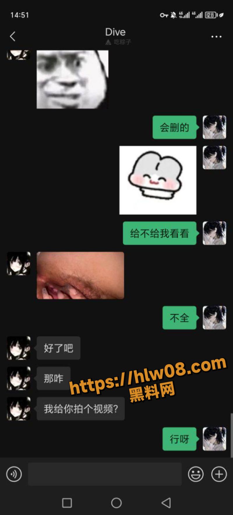 800X1768