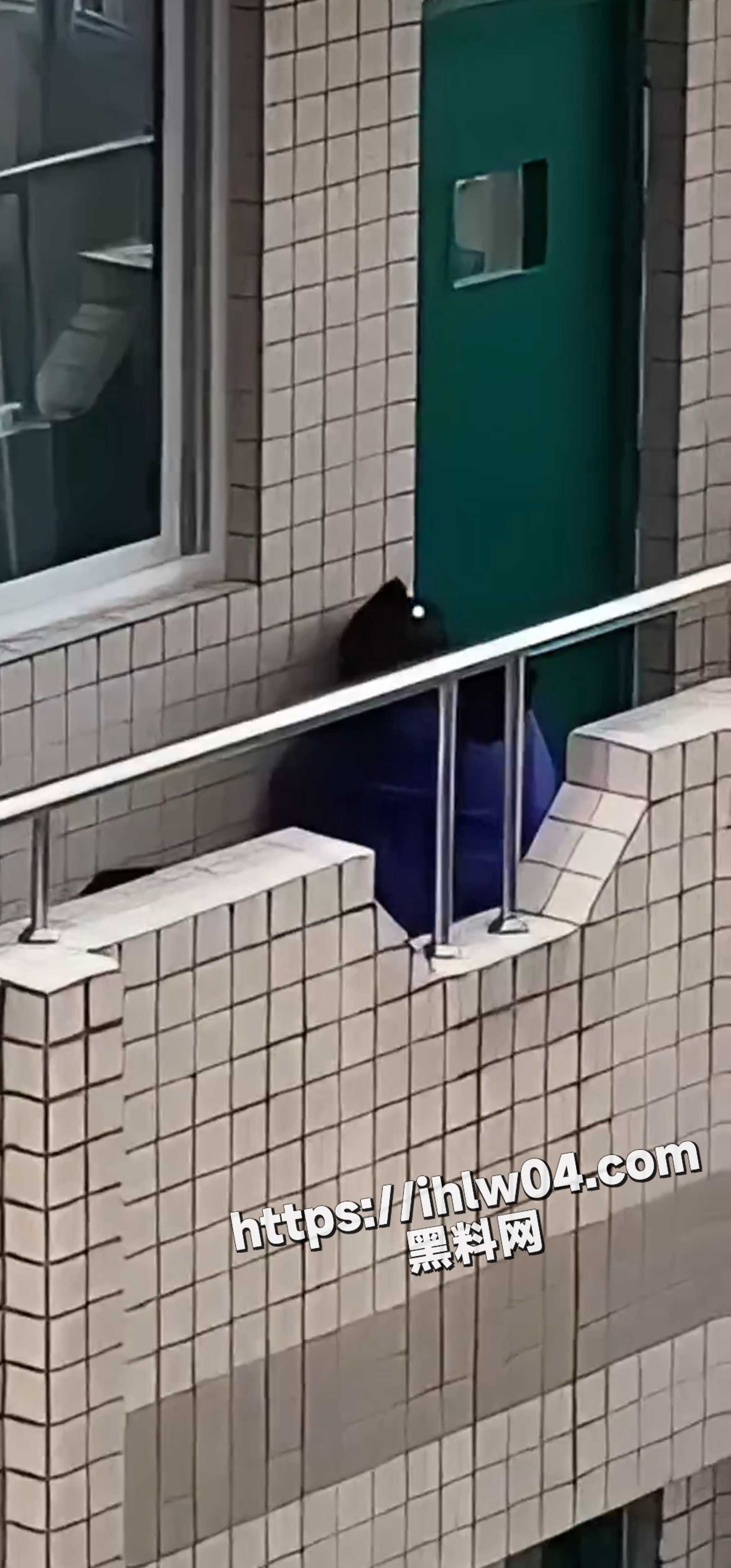 1910X4096