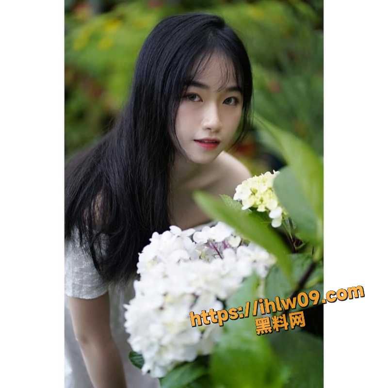 800X800