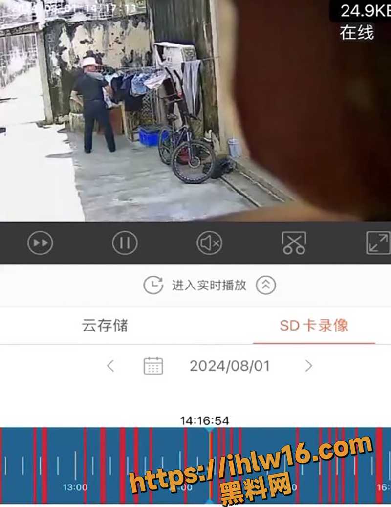 800X1037
