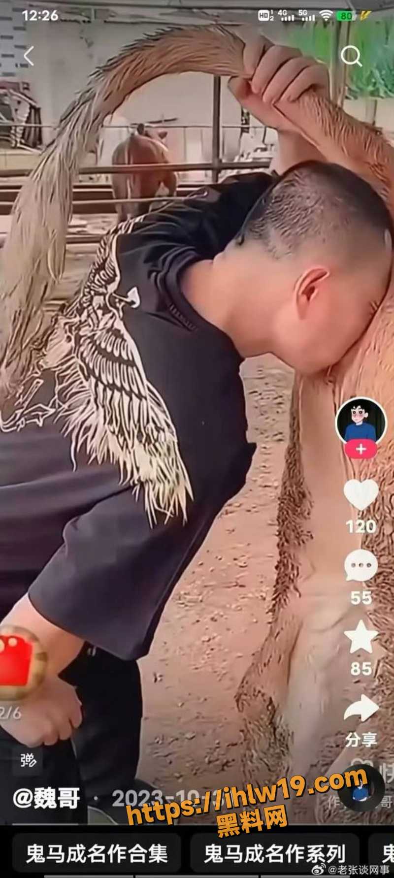 800X1783