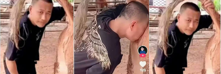 710X240