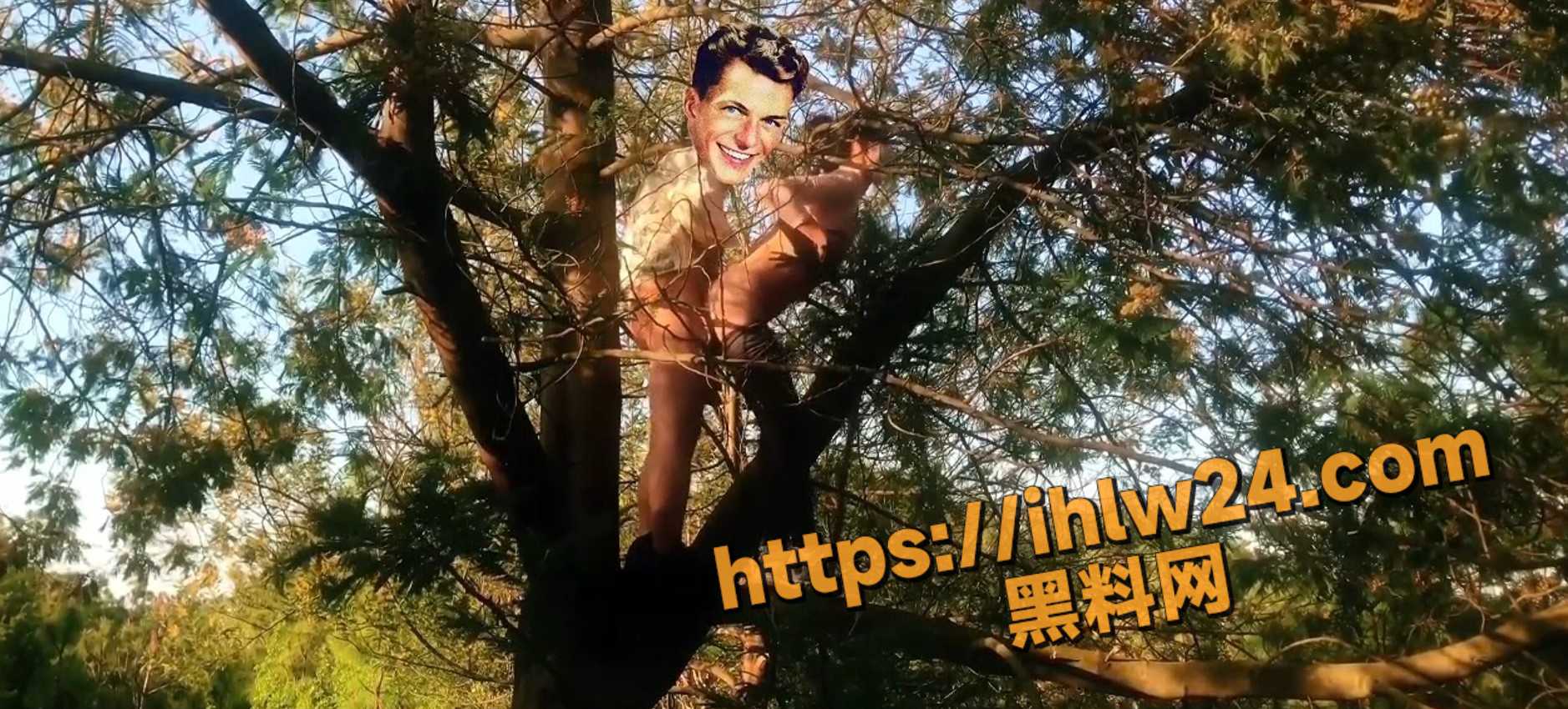 1877X850