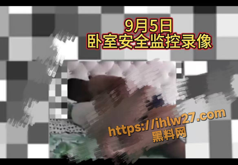 800X556