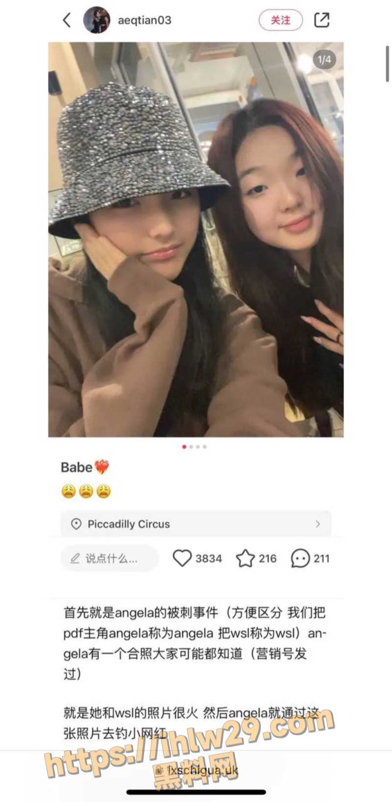 800X1635