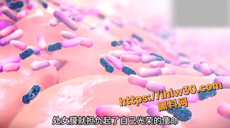 800X446