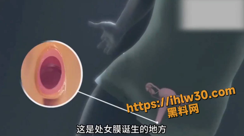 800X447